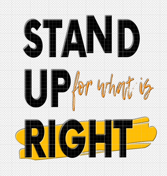 Stand up for what is right Tshirt