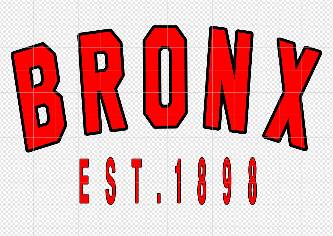 Bronx New York Tshirt