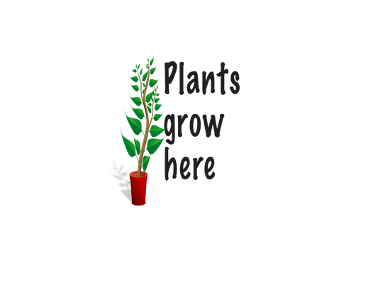 Plants grow Here, T-shirt